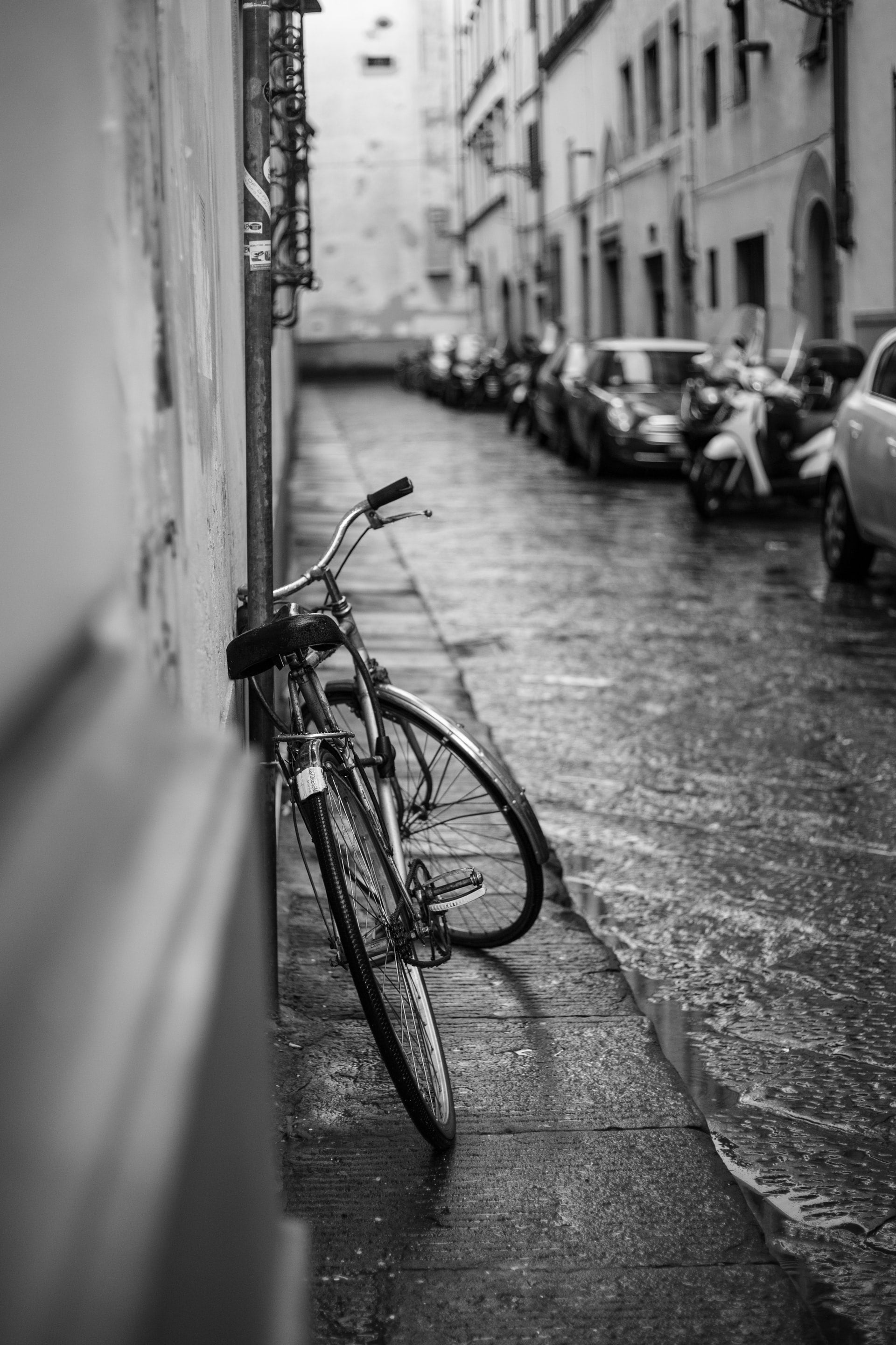 Down the Street