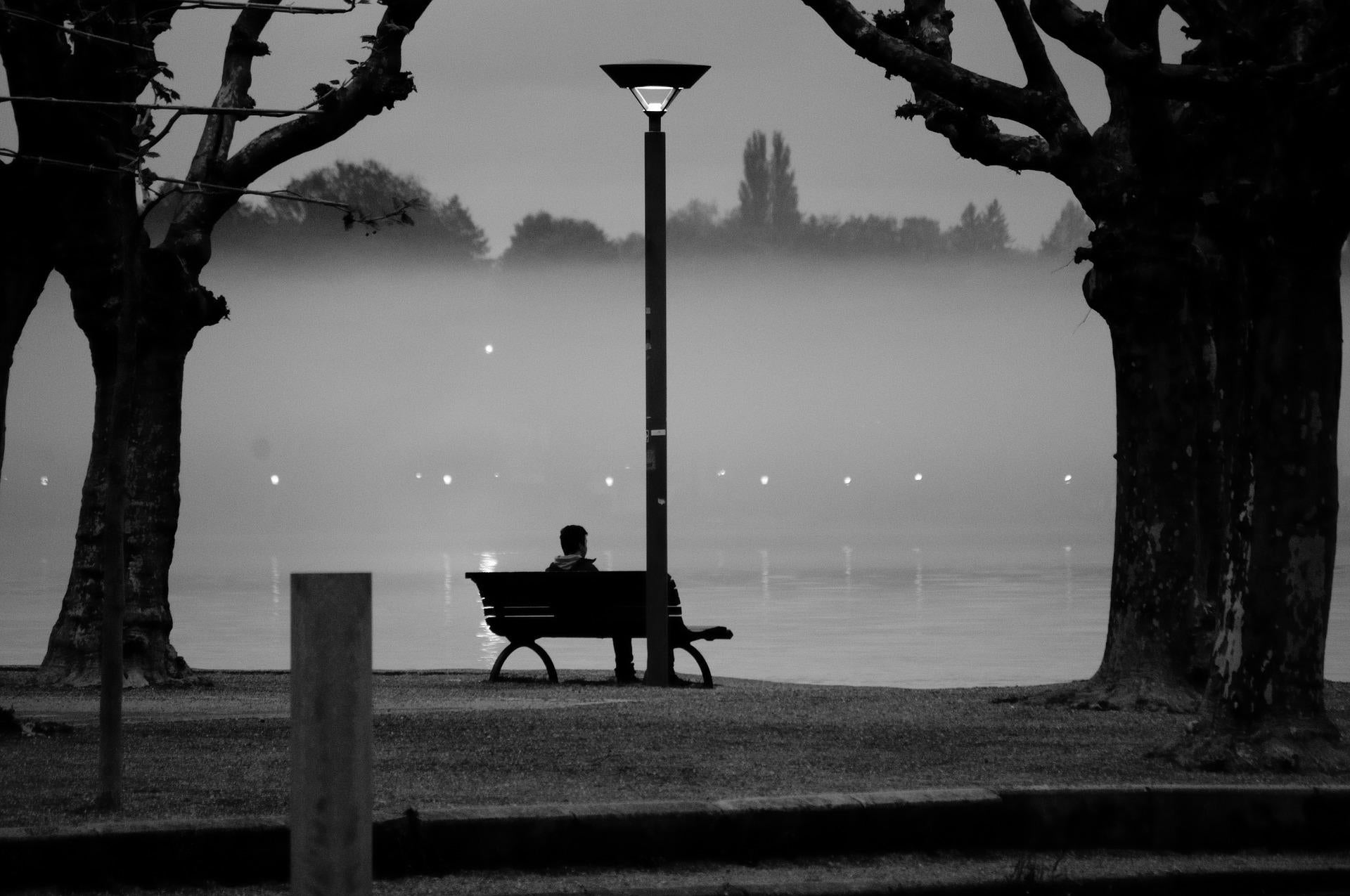 Enjoy the Night