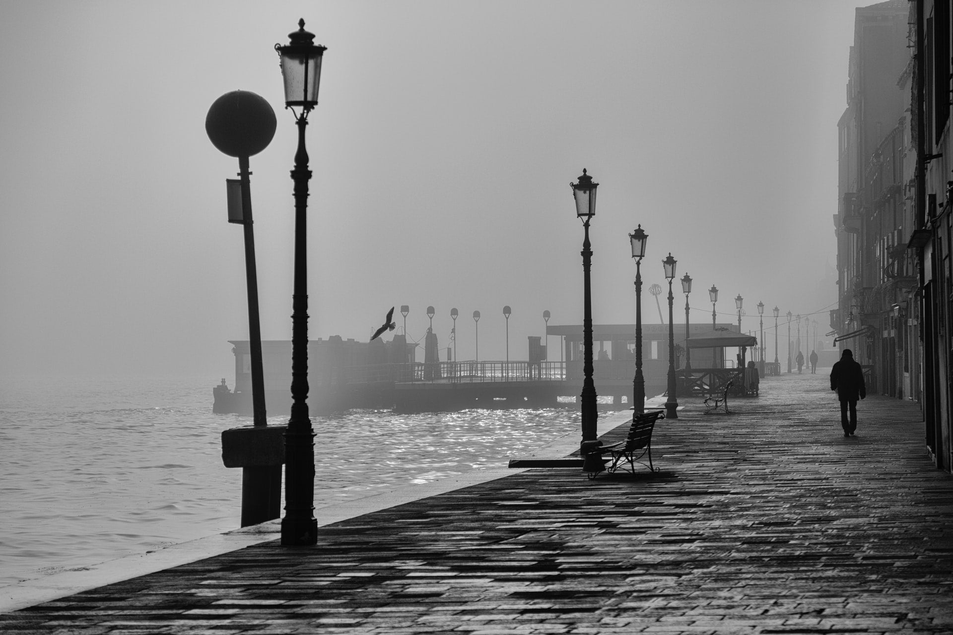 Near the Sea