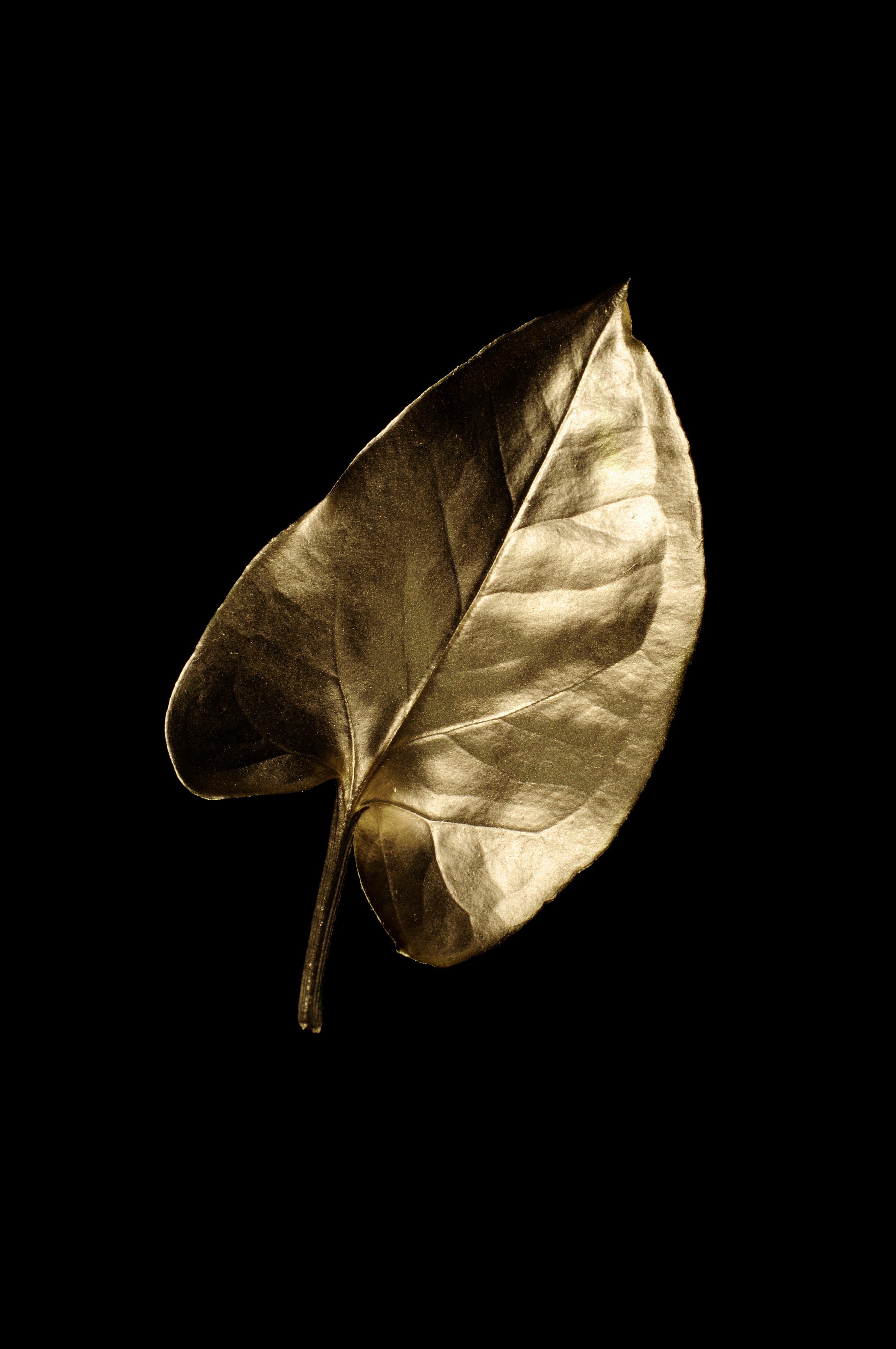 Golden Leaf