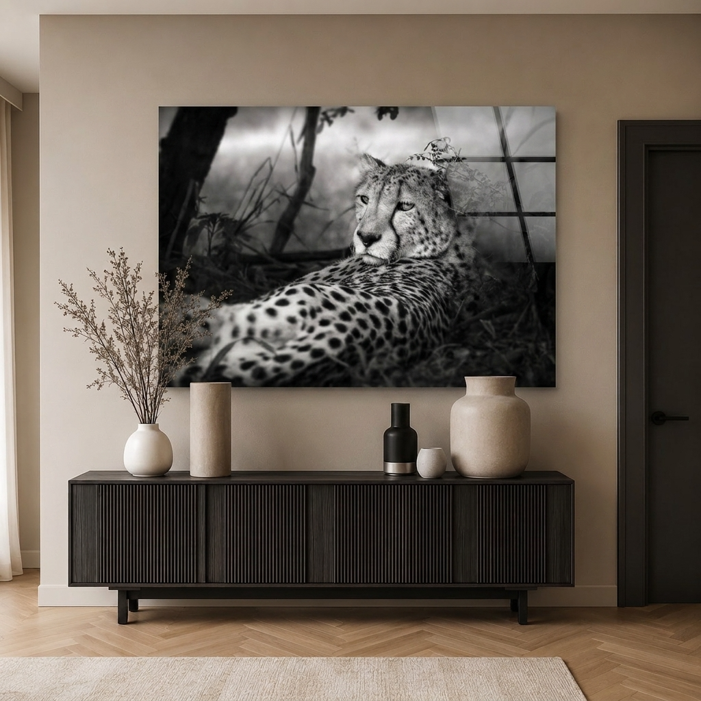 Cheeta