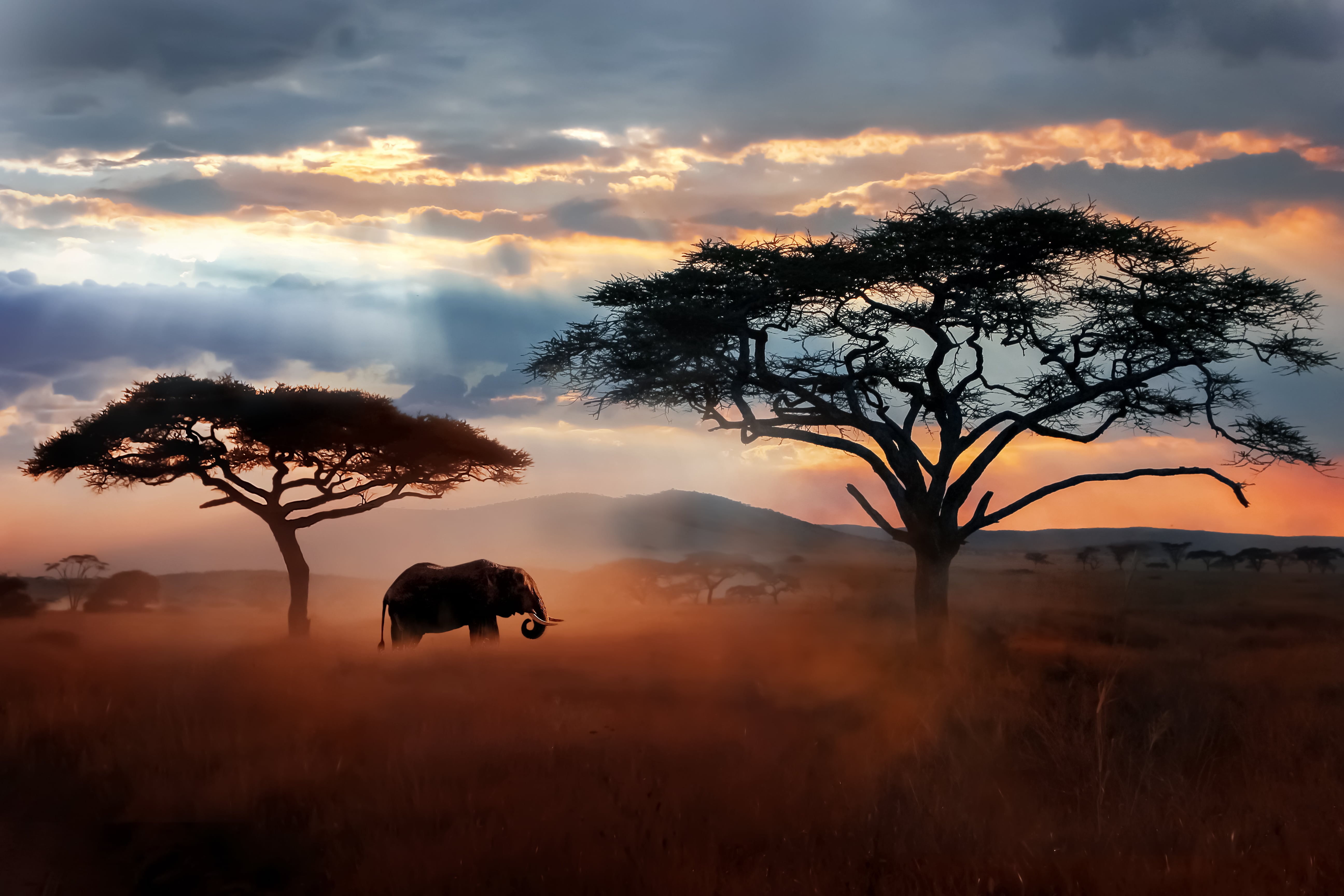 The Beauty of Nature